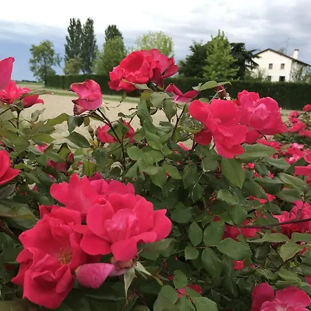 Orizzonte Nocleg ze śniadaniem